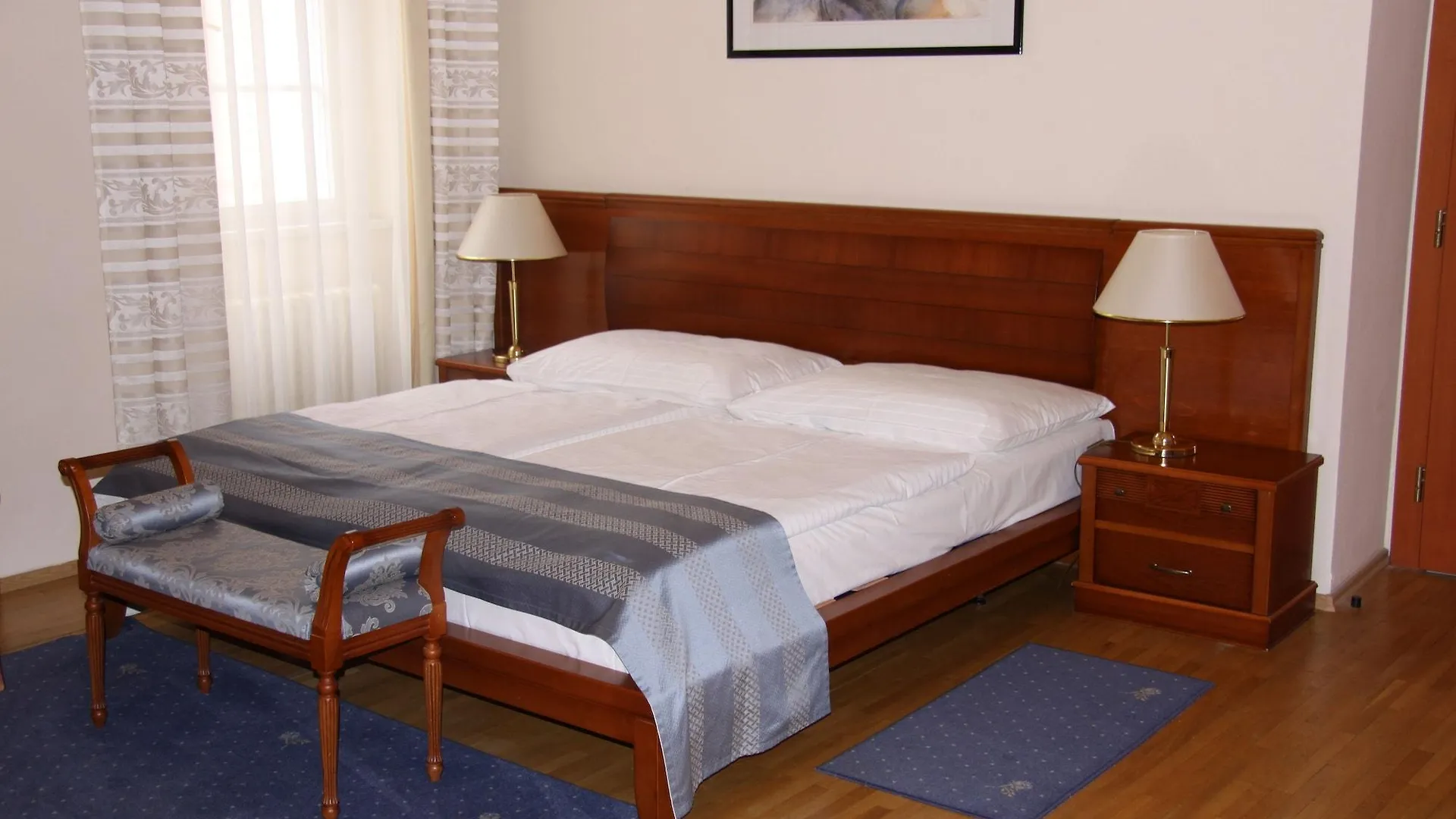 Hotel Modra Ruze Prag